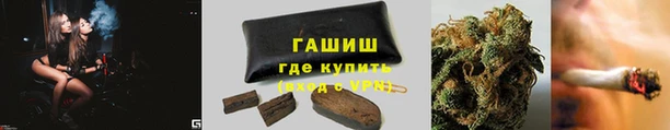 гидра Касимов