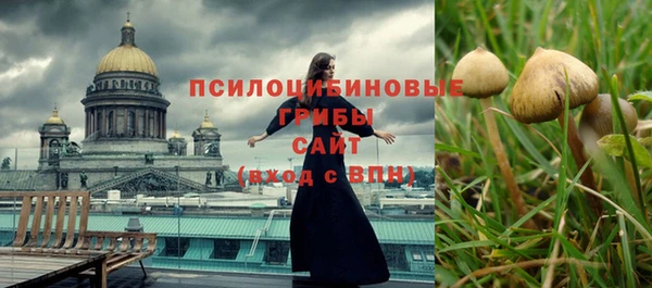 гидра Касимов